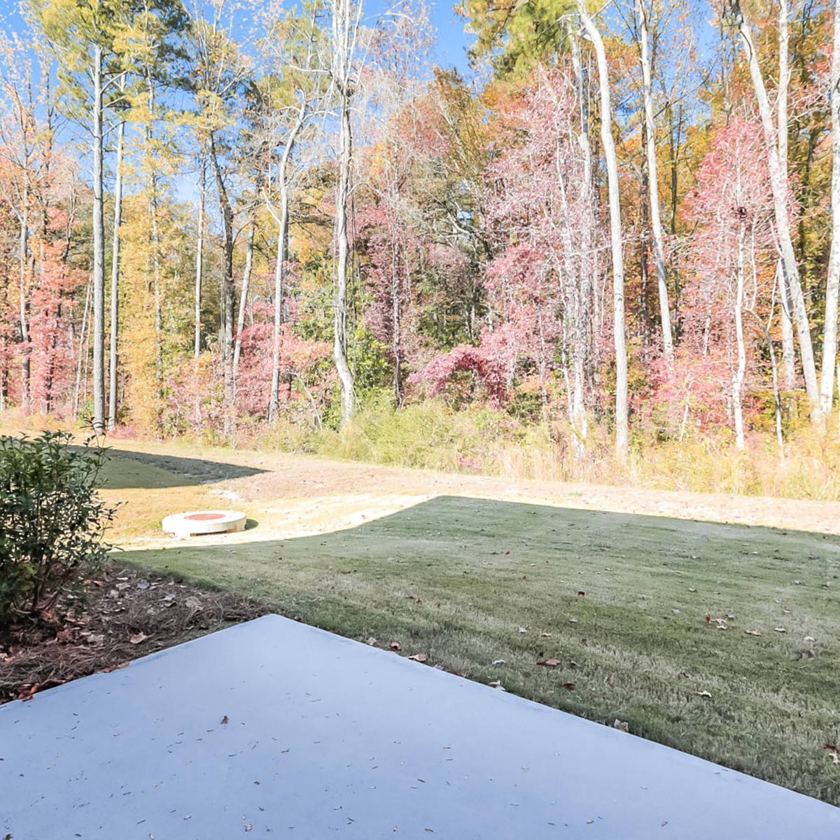 Grove at Rosebud - Image Carousel - Backyard View